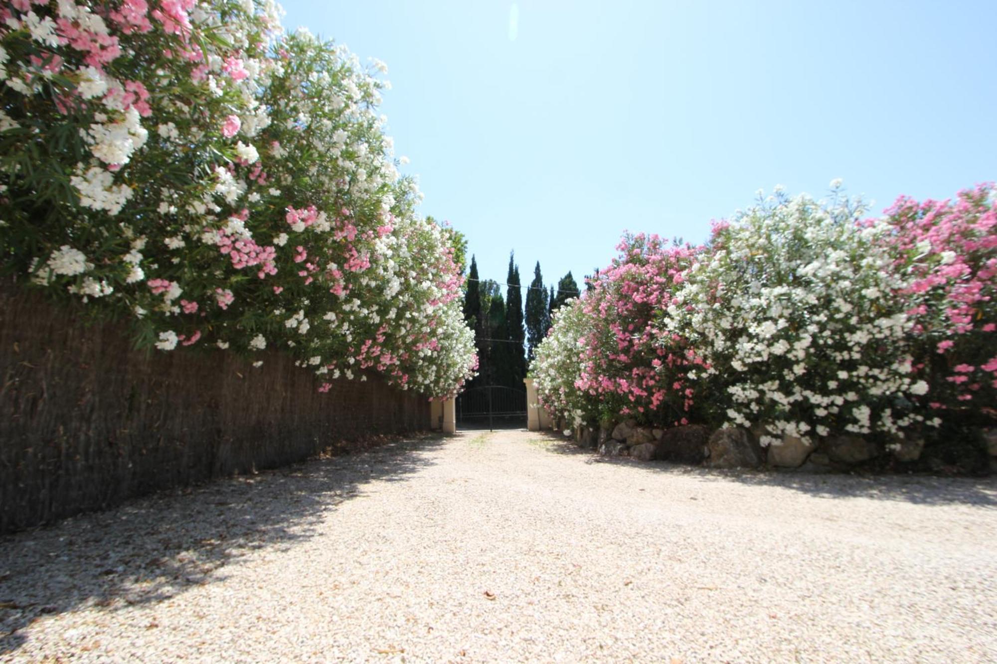 مبيت وإفطار Rognonas Mas Paloma المظهر الخارجي الصورة